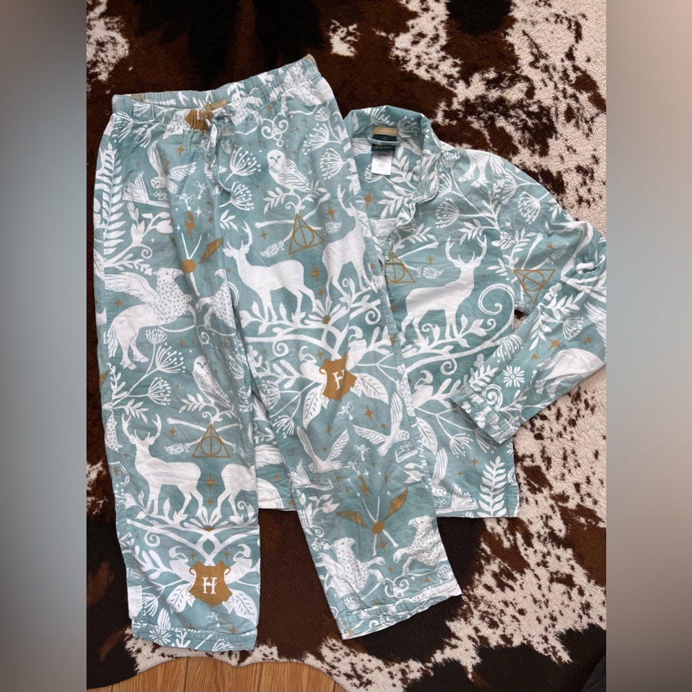 Juniors | Pottery Barn Teen Harry Potter Pajama Set | Mystic Mint | Sz: L (JR)